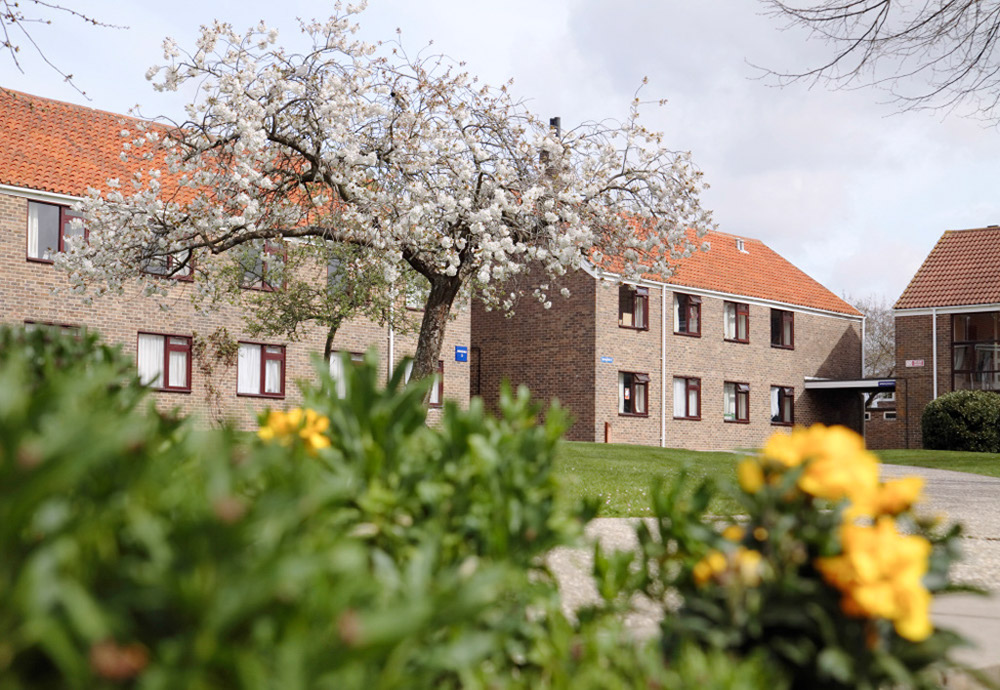 %_tempFileNamechichester-residence-standard-1%