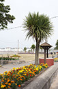 %_tempFileNameexmouth-promenade-8%