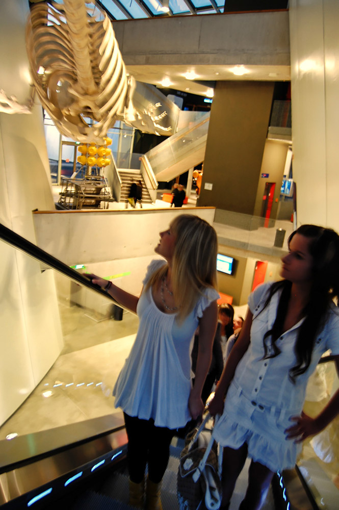 %_tempFileNamestralsund-ozeaneum4%