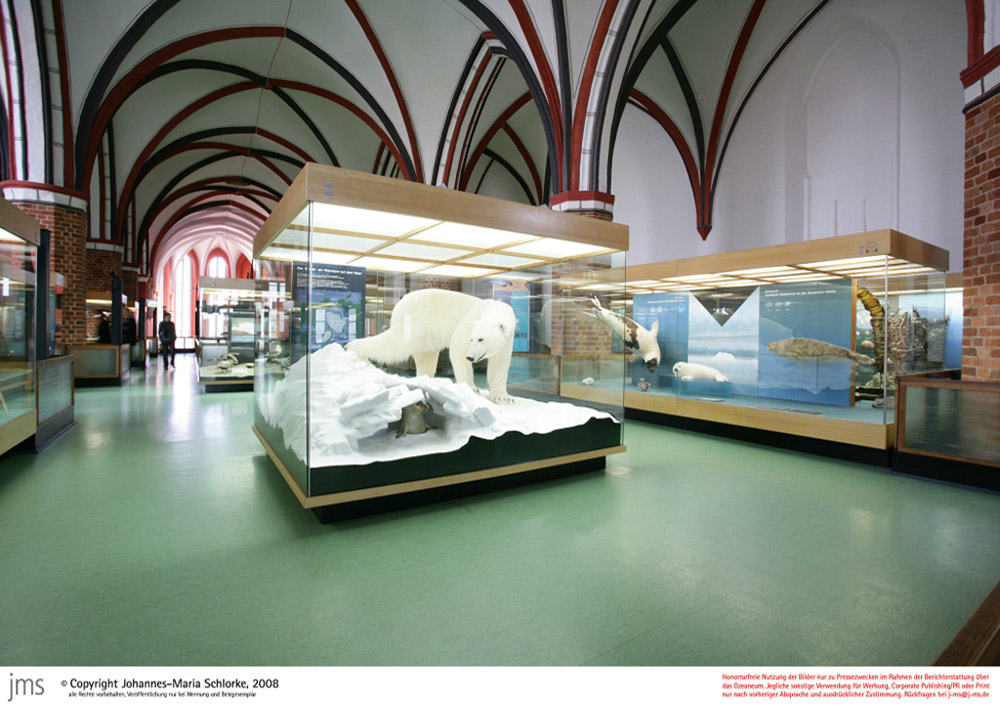 %_tempFileNamestralsund-ozeaneum8%