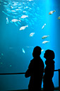 %_tempFileNamestralsund-ozeaneum2%
