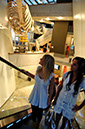 %_tempFileNamestralsund-ozeaneum4%