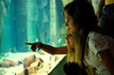 %_tempFileNamestralsund-ozeaneum5%