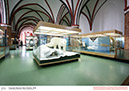 %_tempFileNamestralsund-ozeaneum8%