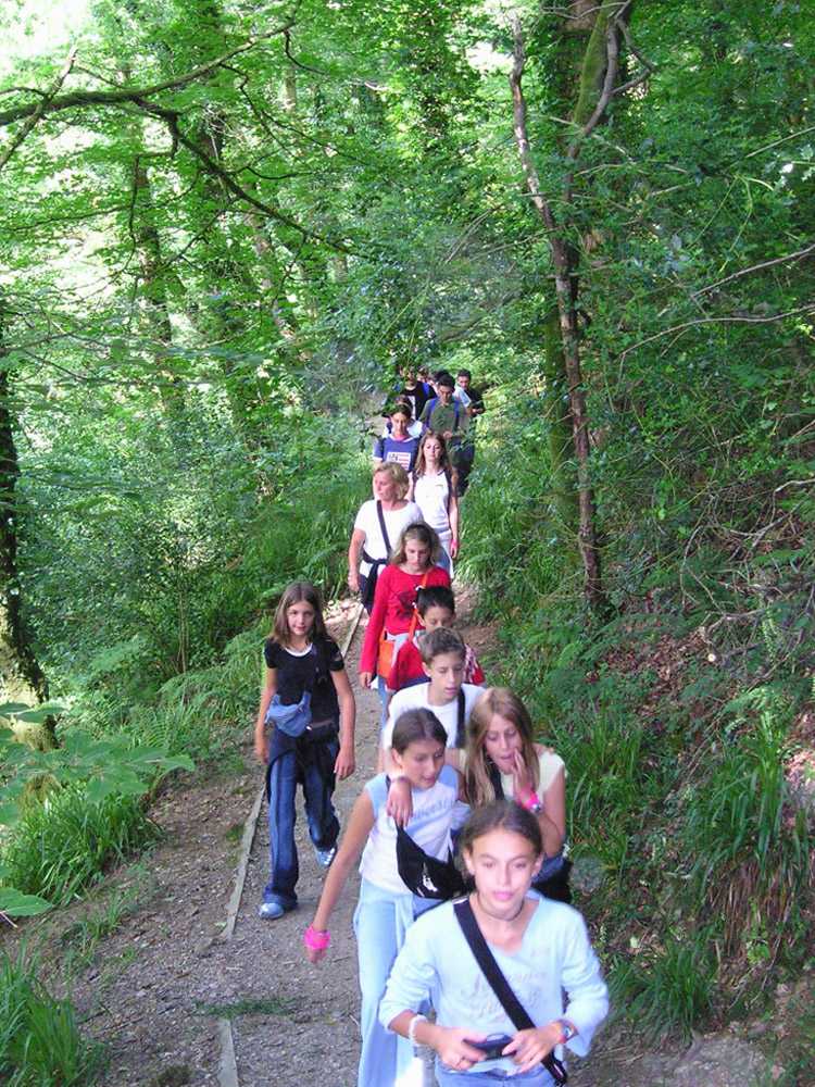 %_tempFileNameenjoy-the-walk%