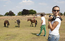 %_tempFileNamehorses%