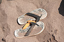 %_tempFileNamesandy-flip-flops%