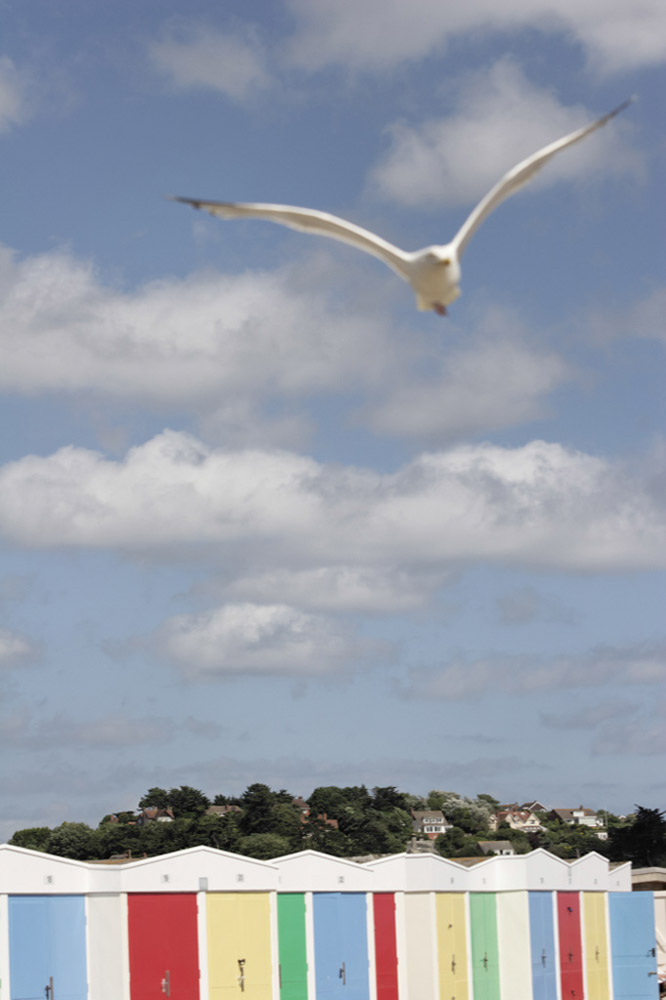 %_tempFileNameseagull2%