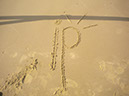 %_tempFileNameip-beach%